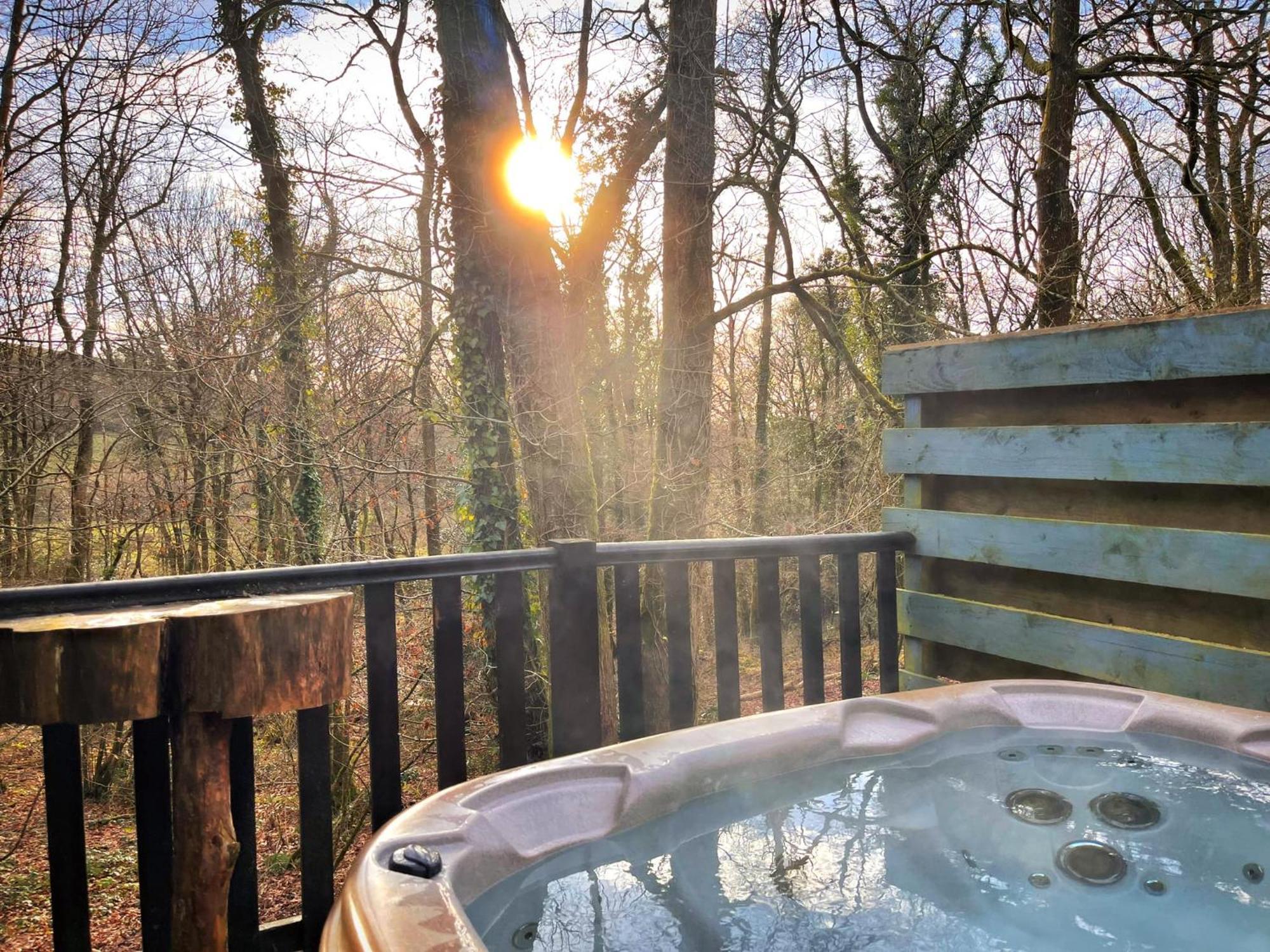 Goldcrest 1-Hot Tub-Woodland Lodges-Carmarthenshire-Tenby Екстериор снимка