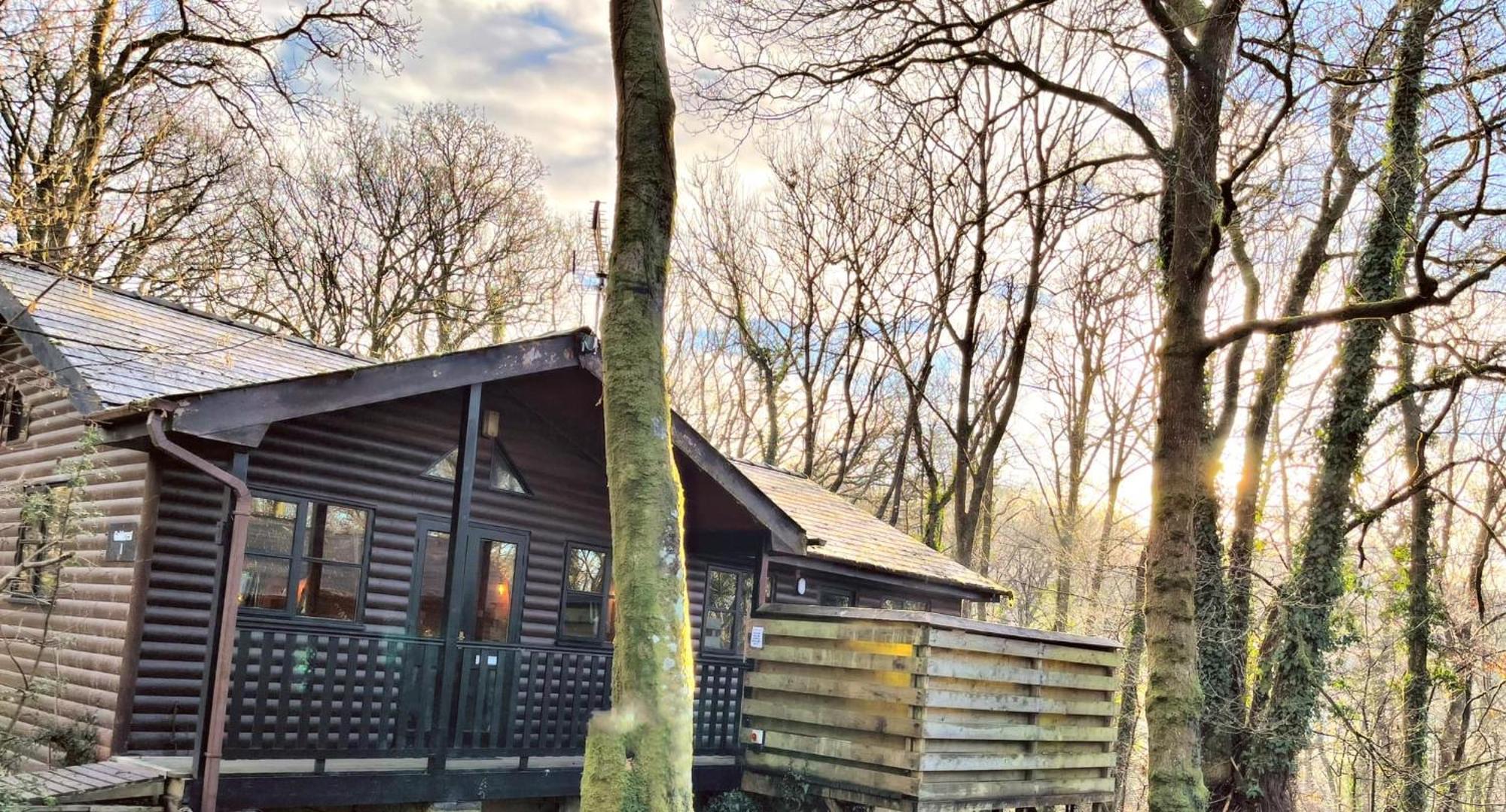 Goldcrest 1-Hot Tub-Woodland Lodges-Carmarthenshire-Tenby Екстериор снимка